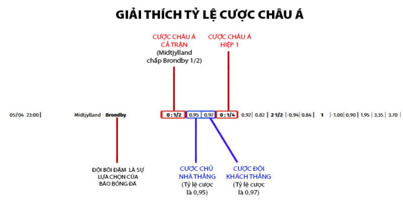 Hướng dẫn cách tính tiền cược khi thắng thua cực chi tiết